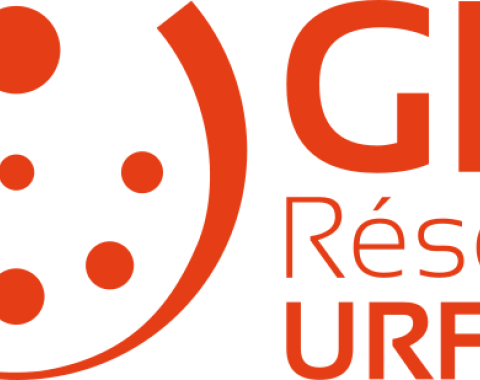 logo GIS