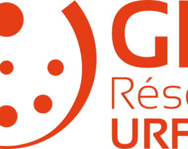 logo GIS